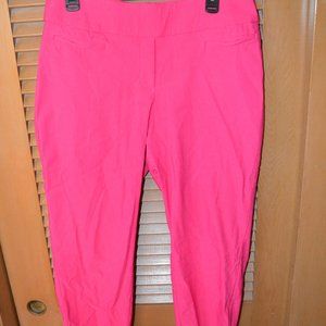 Apt. 9 Brynn Size 16 Hot Pink Business Pants